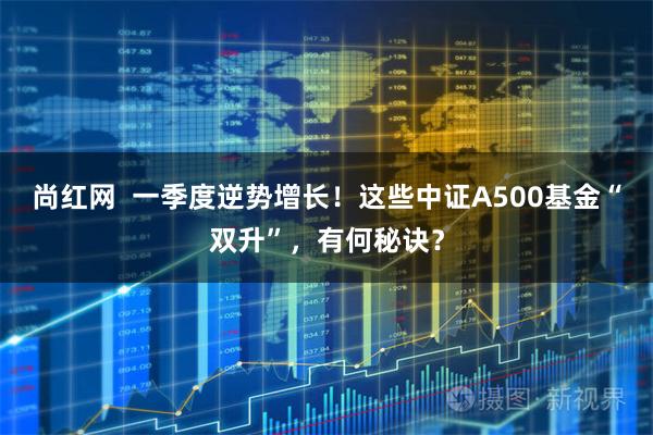 尚红网  一季度逆势增长！这些中证A500基金“双升”，有何秘诀？