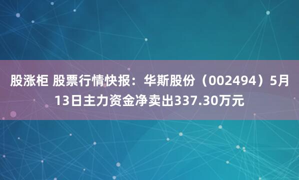 股涨柜 股票行情快报：华斯股份（002494）5月13日主力资金净卖出337.30万元