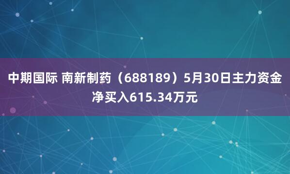 中期国际 南新制药（688189）5月30日主力资金净买入615.34万元