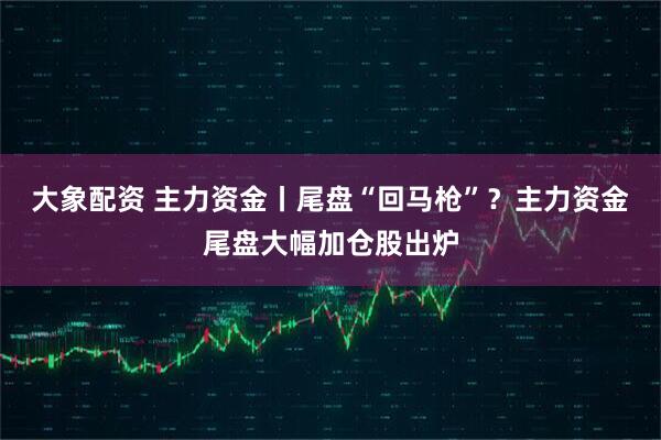 大象配资 主力资金丨尾盘“回马枪”？主力资金尾盘大幅加仓股出炉