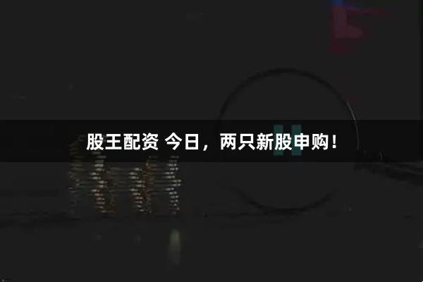 股王配资 今日,两只新股申购!