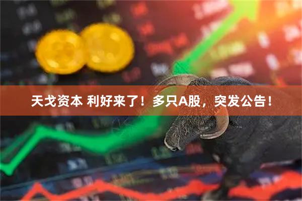 天戈资本 利好来了！多只A股，突发公告！